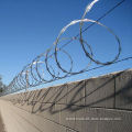 Razor Barbed Wire Fence Mesh (Manufacture)